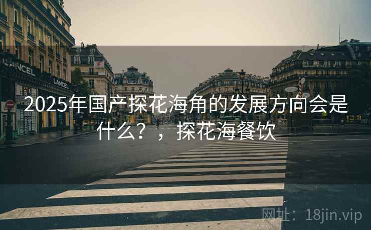 2025年国产探花海角的发展方向会是什么？，探花海餐饮