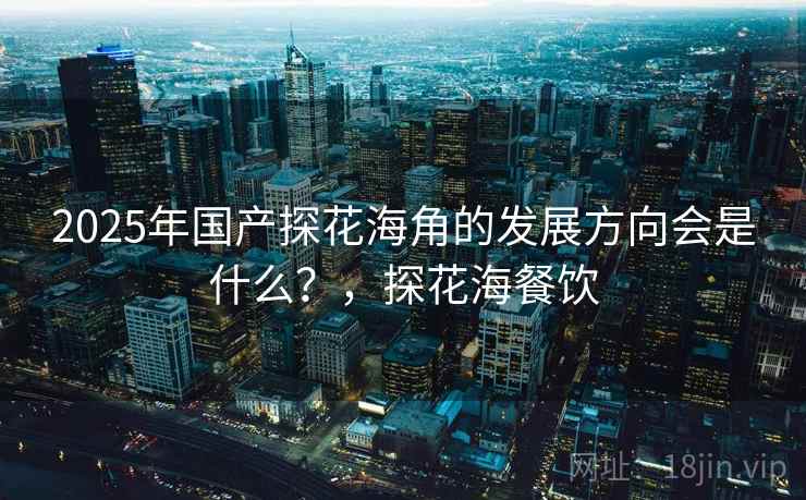 2025年国产探花海角的发展方向会是什么？，探花海餐饮