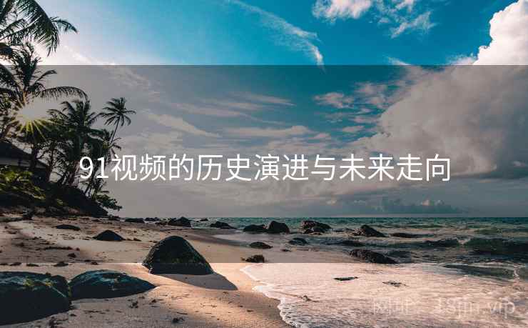 91视频的历史演进与未来走向
