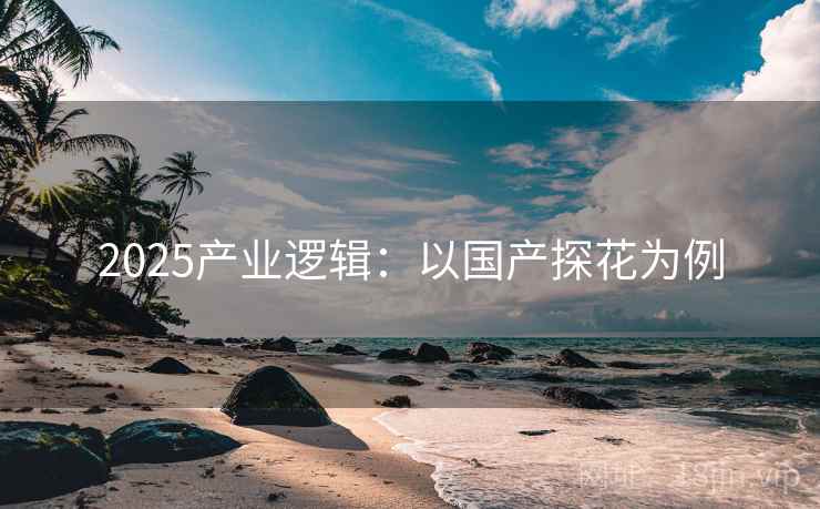 2025产业逻辑：以国产探花为例