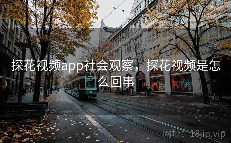 探花视频app社会观察，探花视频是怎么回事