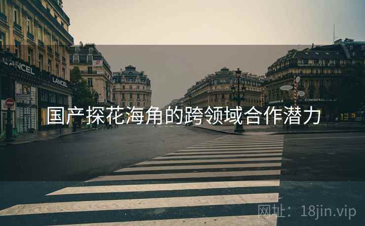国产探花海角的跨领域合作潜力