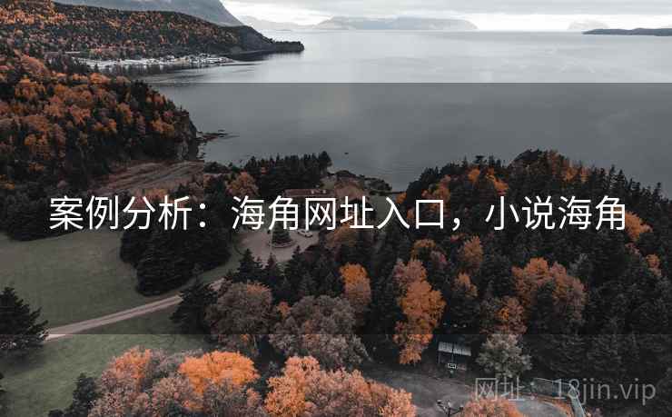 案例分析：海角网址入口，小说海角