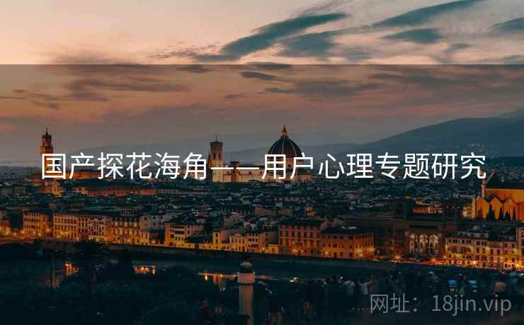 国产探花海角——用户心理专题研究