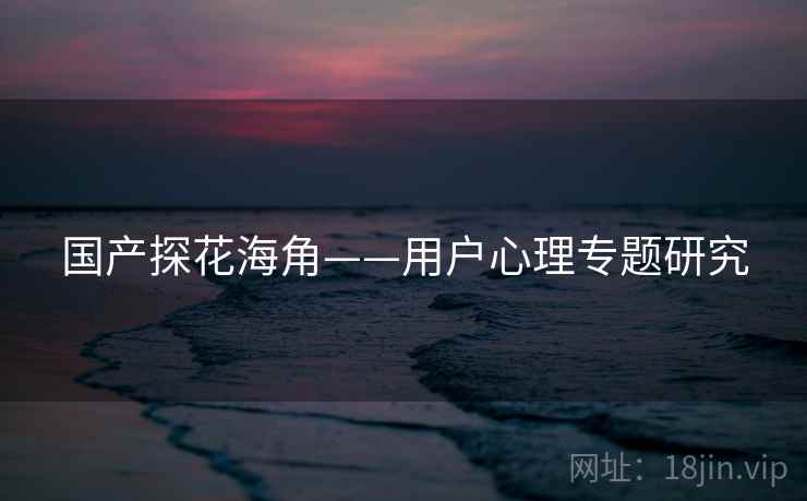 国产探花海角——用户心理专题研究