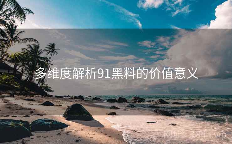 多维度解析91黑料的价值意义