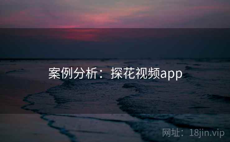 案例分析：探花视频app