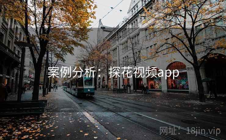 案例分析：探花视频app