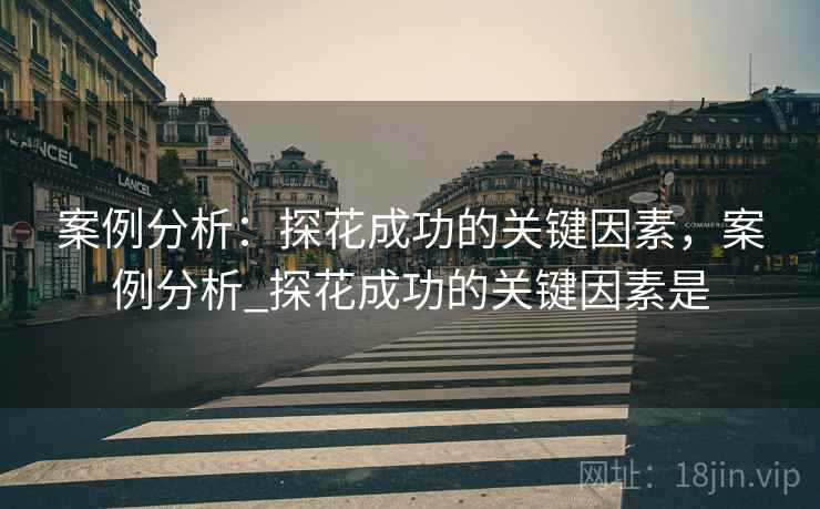 案例分析：探花成功的关键因素，案例分析_探花成功的关键因素是