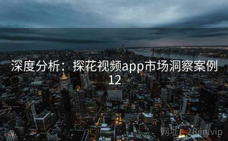 深度分析：探花视频app市场洞察案例12