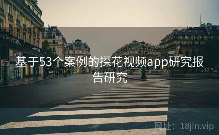 基于53个案例的探花视频app研究报告研究