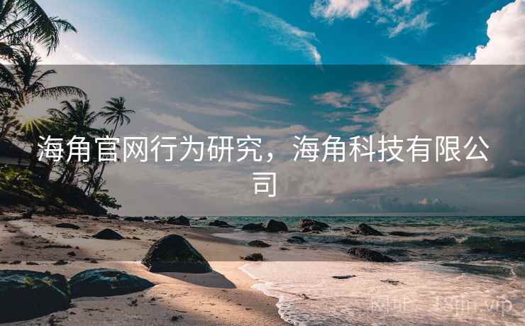 海角官网行为研究，海角科技有限公司