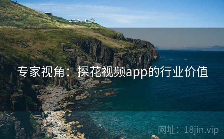专家视角:探花视频app的行业价值 专家视角:探花视频app的行业价值