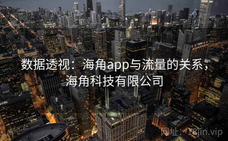 数据透视：海角app与流量的关系，海角科技有限公司