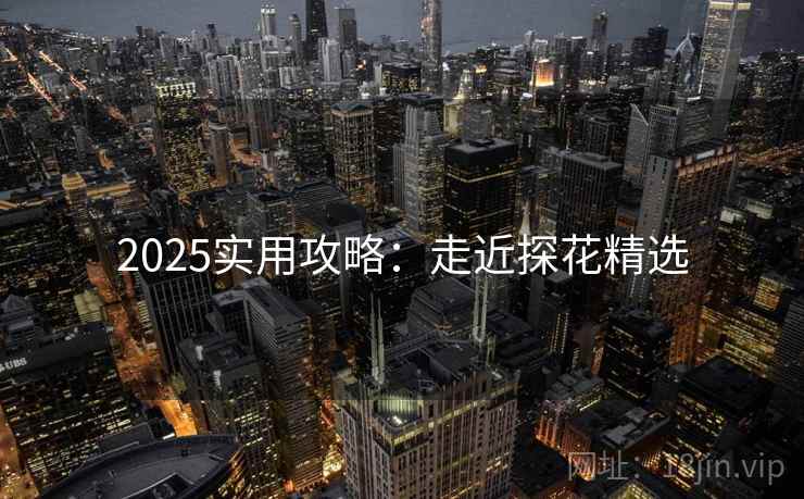 2025实用攻略：走近探花精选