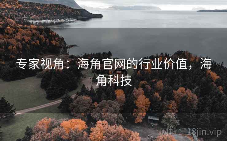 专家视角：海角官网的行业价值，海角科技