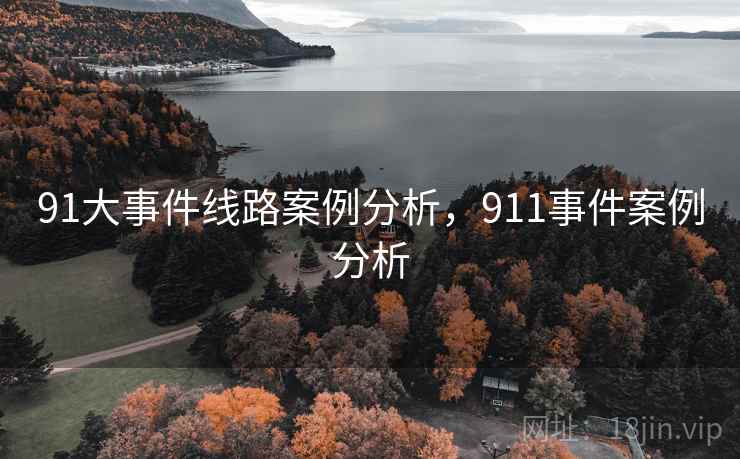 91大事件线路案例分析,911事件案例分析 91大事件线路案例分析,911事件案例分析