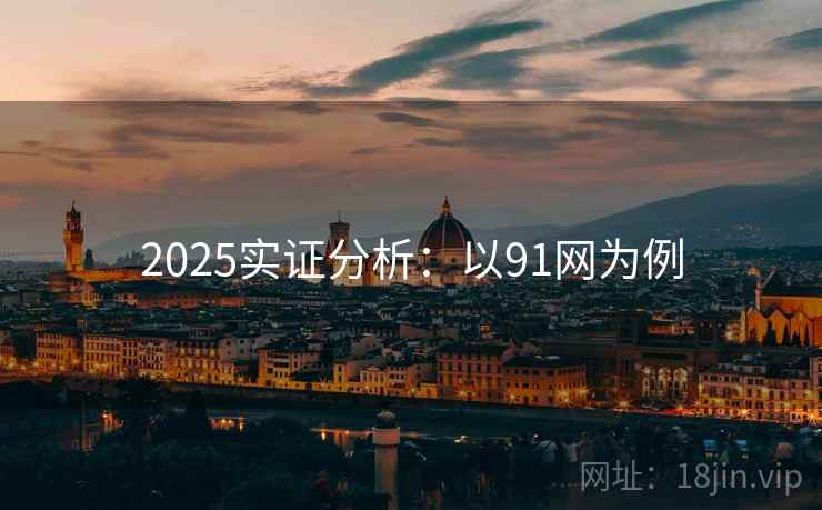 2025实证分析：以91网为例