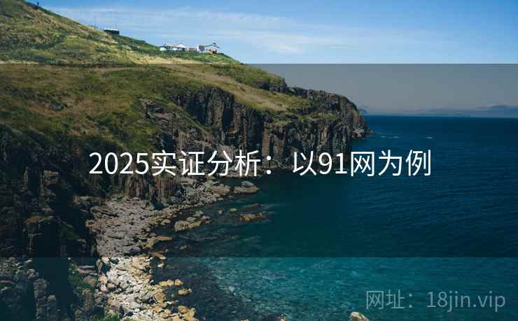 2025实证分析：以91网为例