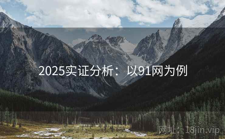 2025实证分析：以91网为例