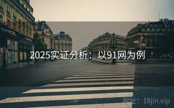 2025实证分析：以91网为例