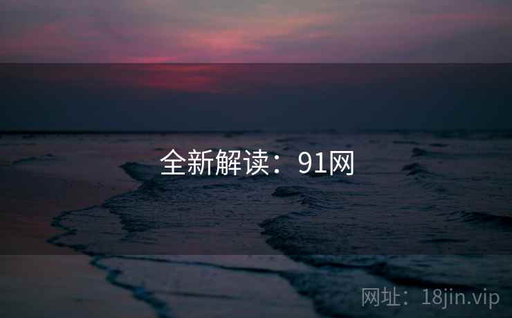 全新解读：91网