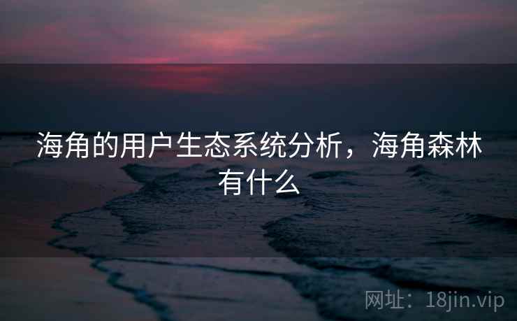 海角的用户生态系统分析,海角森林有什么 海角的用户生态系统分析,海角森林有什么